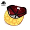 Hip-hop snapbacks hat